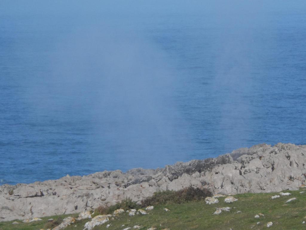 La Quintaesencia Ξενοδοχείο La Pereda de Llanes Εξωτερικό φωτογραφία